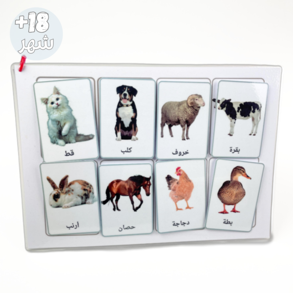 لوحات مطابقة الصور