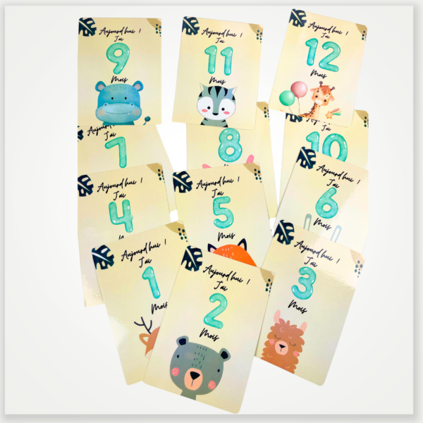 cartes mois bébé
